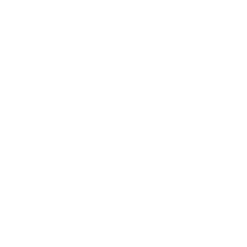 AOI American International